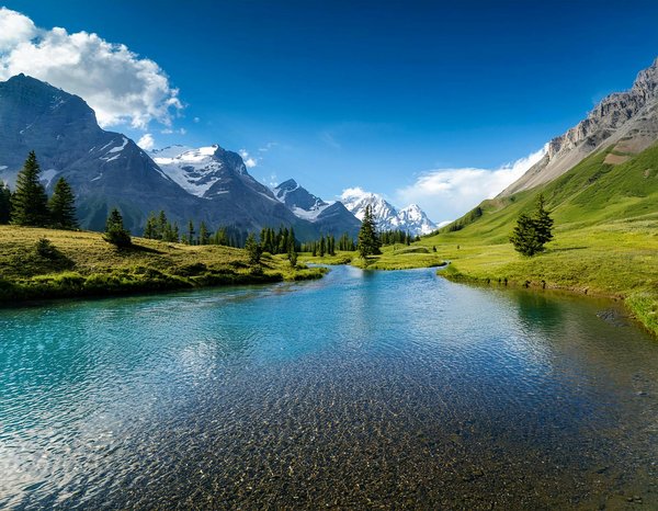 Embark on a flavor journey: your ultimate guide to securing an exclusive whisky tasting at a scottish distillery