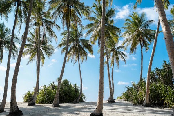 Discover the Top Wildlife Watching Spots in the Stunning Yorkshire Dales
